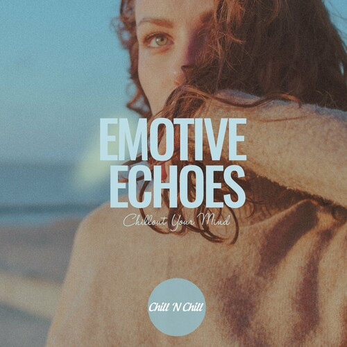 VA - Emotive Echoes: Chillout Your Mind (2024) FLAC