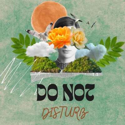 VA - Do Not Disturb (2024) MP3
