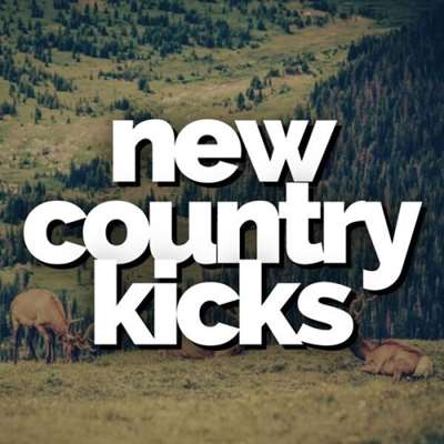VA / New Country Kicks (2024) MP3, 320 /c