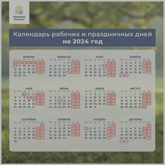 30 ���� ����� �������� 2024