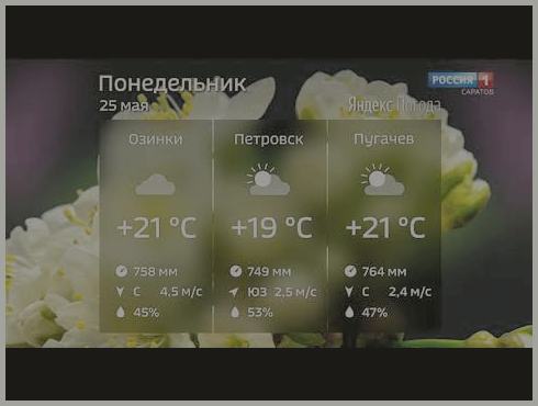 Погода Во Владивостоке В Июне 2024 Погода Во Владивостоке В Июне 2024