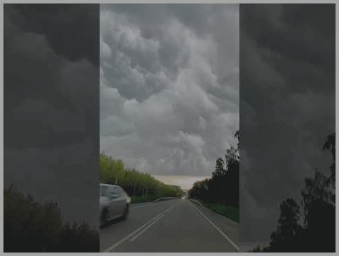 ������ � ������������� �� ���� 2024