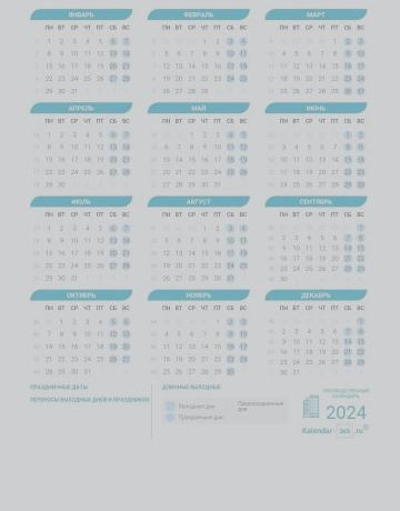 ����� ���� � ���� 2024 ����