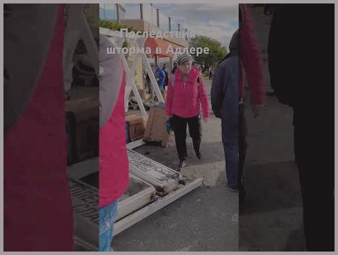 ����� � ������ 2024 ����