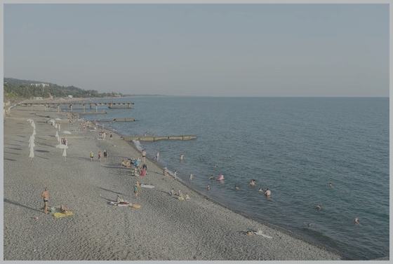 ������ ������� ����� ���� 2024