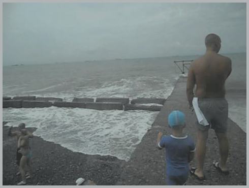 ����� � ������ 2024 ����