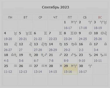 ������ ���� �� ���� 2024
