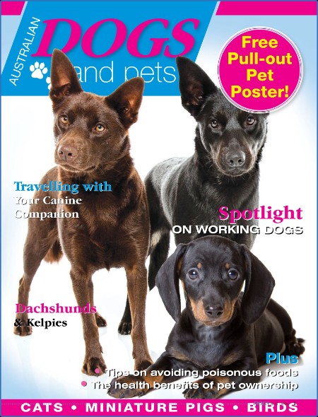 Dogs and Pets - Issue 5 - 31 January 2024 Bcb1cdbd0cb8663102b0915acfbd7412