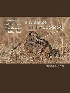Sky Dance of the Woodcock The Habits and Habitats of a Strange Little Bird