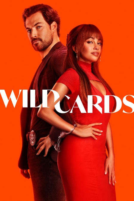 Wild Cards S01E04 1080p WEBRip x264-BAE