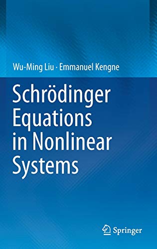 Schrödinger Equations in Nonlinear Systems (2024)
