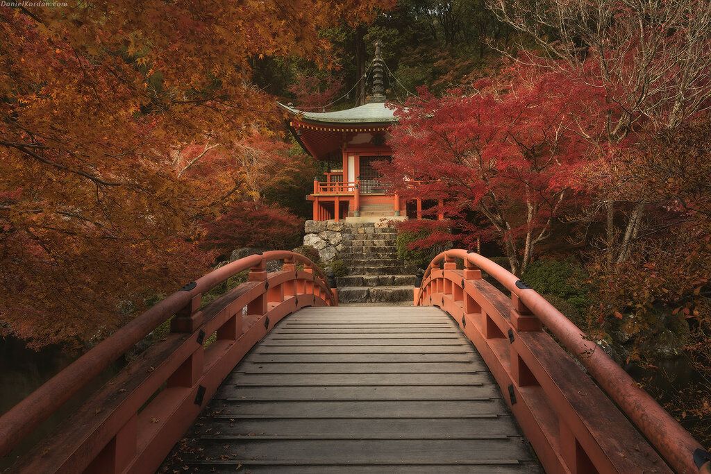Tokio - Običaj posmatranja jesenjeg lišća - Page 2 5aad45de9b21f789a0ac06728795b70f