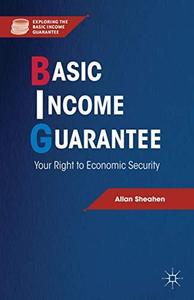 Basic Income Guarantee Your Right to Economic Security