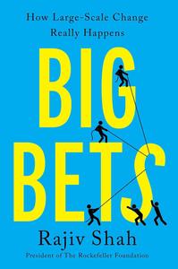 Big Bets How Large–Scale Change Really Happens