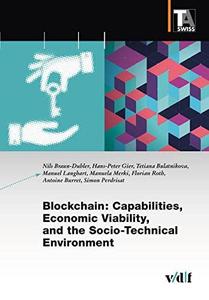 Blockchain Capabilities, Economic Viability, and the Socio-Technical Environment
