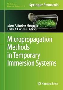 Micropropagation Methods in Temporary Immersion Systems