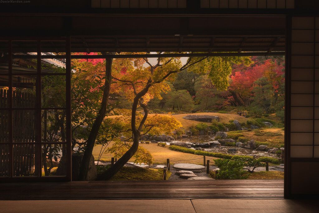 Tokio - Običaj posmatranja jesenjeg lišća 5e1ce548a0934c5054134773c00e0f4f