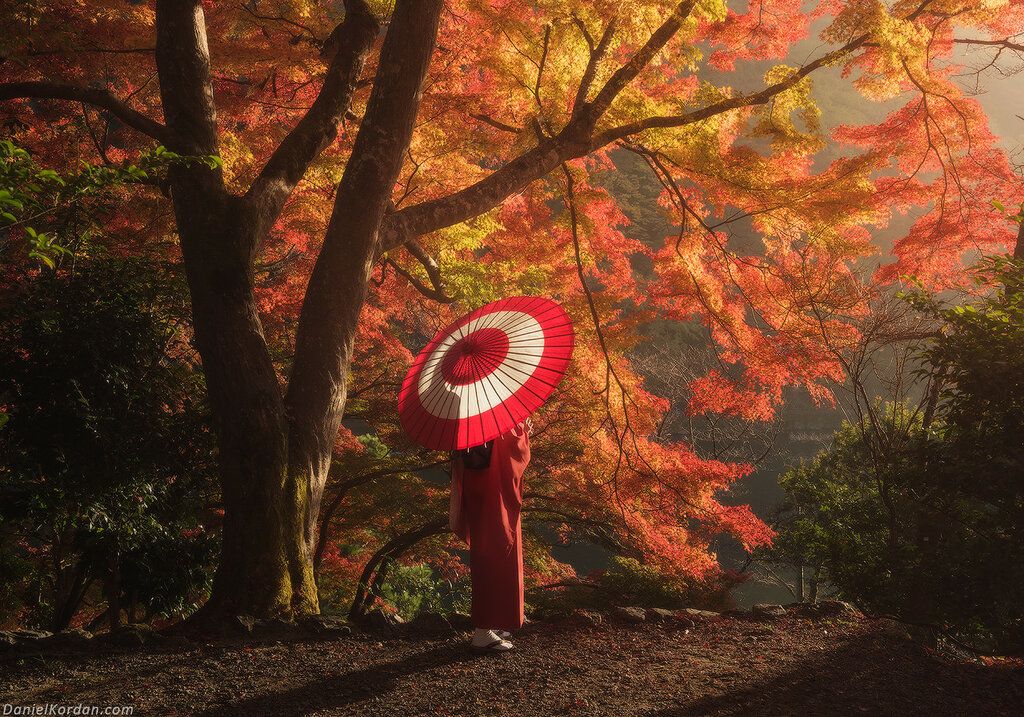 Tokio - Običaj posmatranja jesenjeg lišća 3676739055f29f038f008ea4e9519466