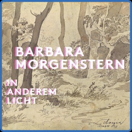Barbara Morgenstern - In anderem Licht 2024