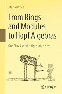 From Rings and Modules to Hopf Algebras