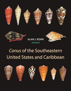 Conus of the Southeastern United States and Caribbean