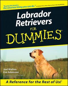 Labrador Retrievers For Dummies