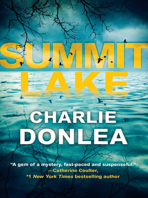 Summit Lake - Charlie Donlea  13d70c0eaf0a73475099b2d984db4226