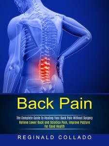 Back Pain The Complete Guide to Healing Your Back Pain Without Surgery