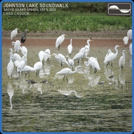 Chad Crouch - Johnson Le Soundwalk (2024)