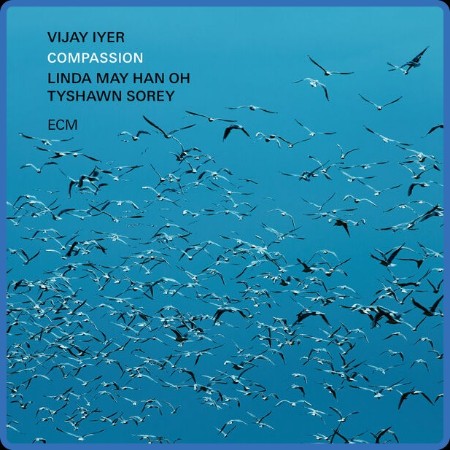 Vijay Iyer - Compassion (2024)