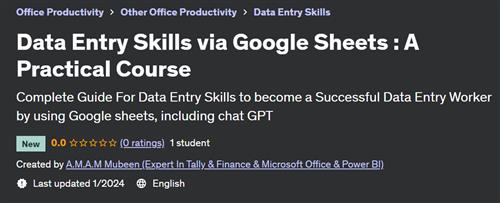 Data Entry Skills via Google Sheets  A Practical Course