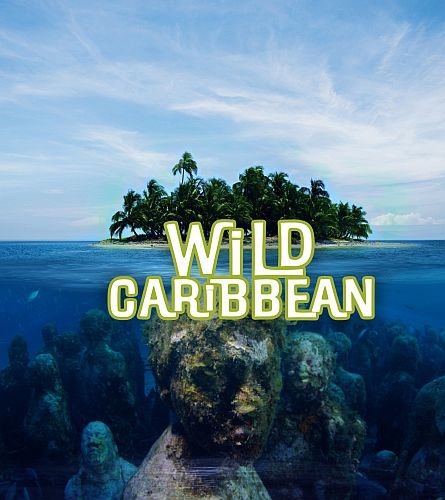     / Wild Caribbean  Rhythms of Life [1-3   3] (2018) HDTV 1080i | P1