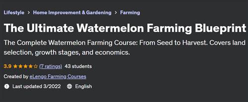 The Ultimate Watermelon Farming Blueprint