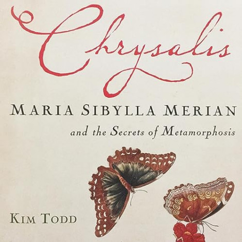 Kim Todd - Chrysalis  047c6aa25a5c30c0efdf74818389da10