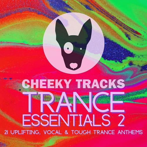VA - Cheeky Tracks Trance Essentials 2 (2024) (MP3)