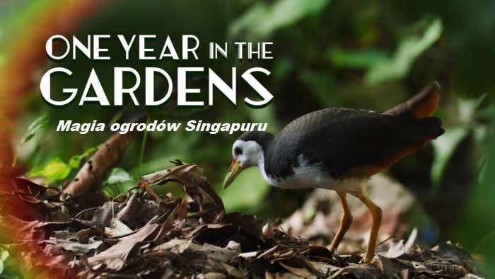 Magia ogrodów Singapuru / One Year in the Gardens (2022) PL.1080i.HDTV.H264-OzW / Lektor PL