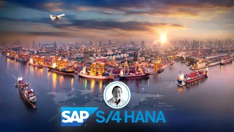 Learn Sap Transportation Management In S4 Hana, Step By Step