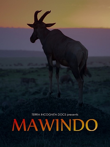 Мавиндо. Великая драма Серенгети / Mawindo: The big drama of the Serengeti (2019) HDTV 1080i | P1