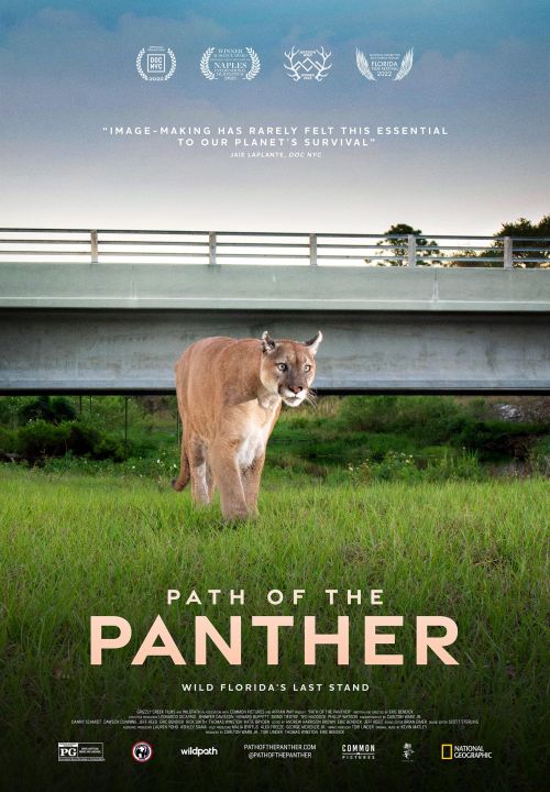 Uratować pumy / Path of the Panther (2022) PL.1080i.HDTV.H264-OzW / Lektor PL