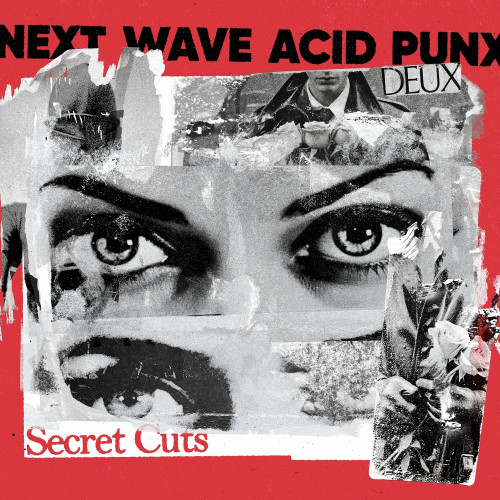 VA - Next Wave Acid Punx DEUX - Secret Cuts (2024) MP3