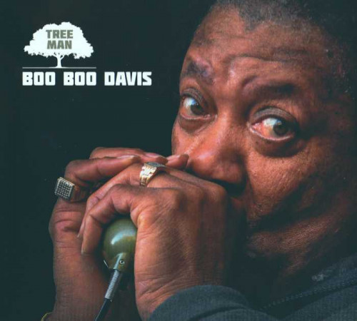 Boo Boo Davis - Tree Man (2019) [lossless]