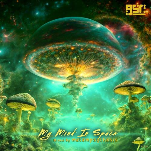 VA - My Mind In Space (Mixed by metempsychosis) (2024) (MP3)