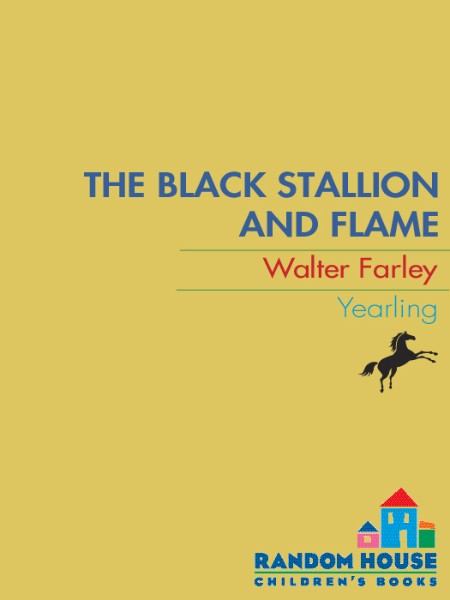 The Black Stallion and Flame by Walter Farley