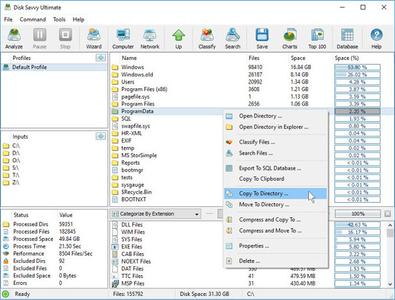 Disk Savvy Pro  Server  Enterprise 15.8.24