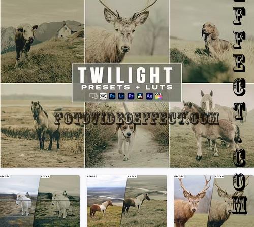 Twilight Lightroom Presets luts Video Premiere Pro - DKBH43J