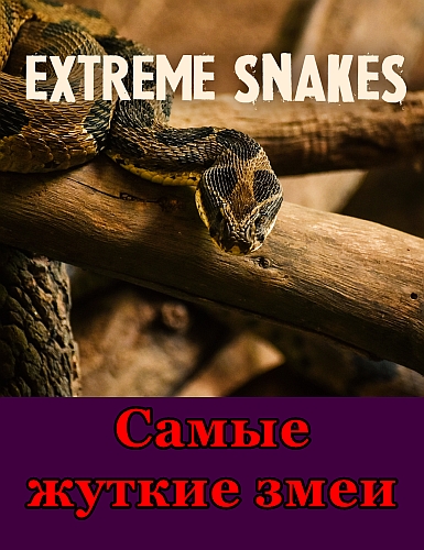Самые жуткие змеи / Extreme Snakes, Серии 1-2 из 2 (2022) HDTV 1080i