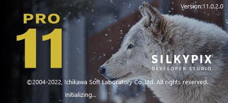 SILKYPIX Developer Studio Pro 11.0.14 Portable (x64)