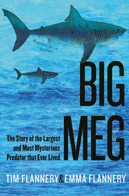 Big Meg by Tim Flannery