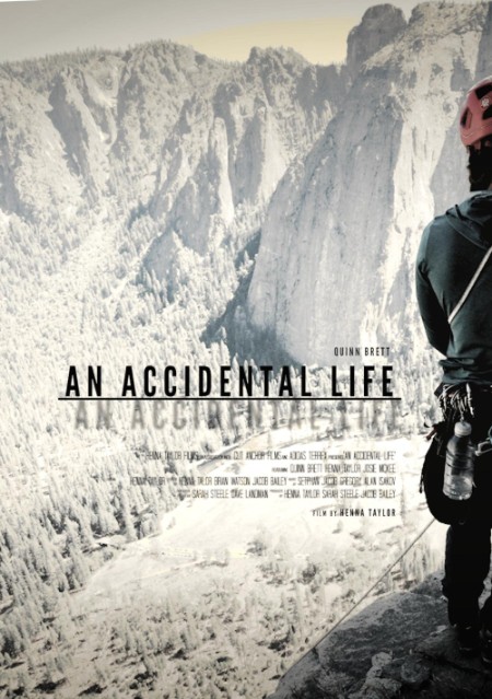 An Accidental Life (2022) 720p WEBRip x264 AAC-YTS