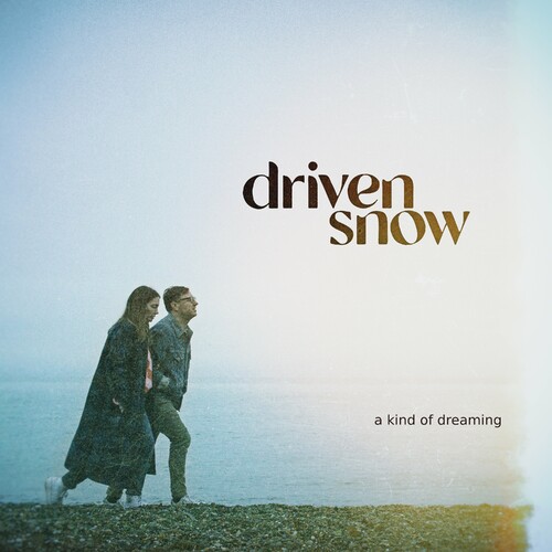 Driven Snow - A Kind Of Dreaming (2024) MP3